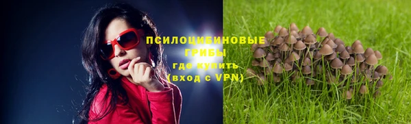 прущий лед Арсеньев