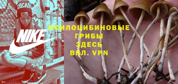а пвп мука Аркадак