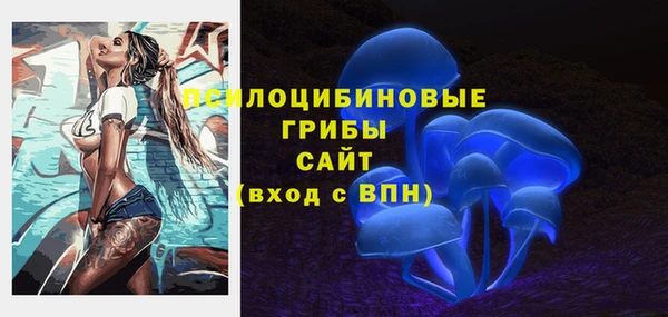 а пвп мука Аркадак