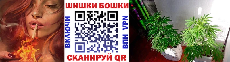 Каннабис OG Kush  Купить закладки  Сысерть 